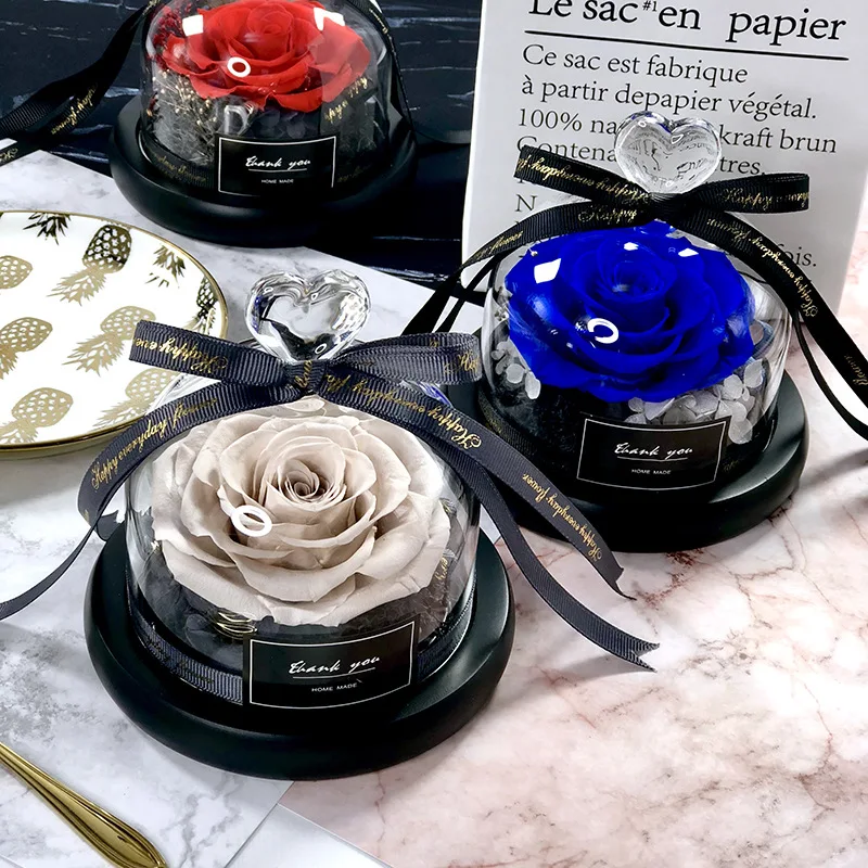 Beauty and The BEAST Save ของข - Decor Timeless Lighting บทวิจารณ์และราคา