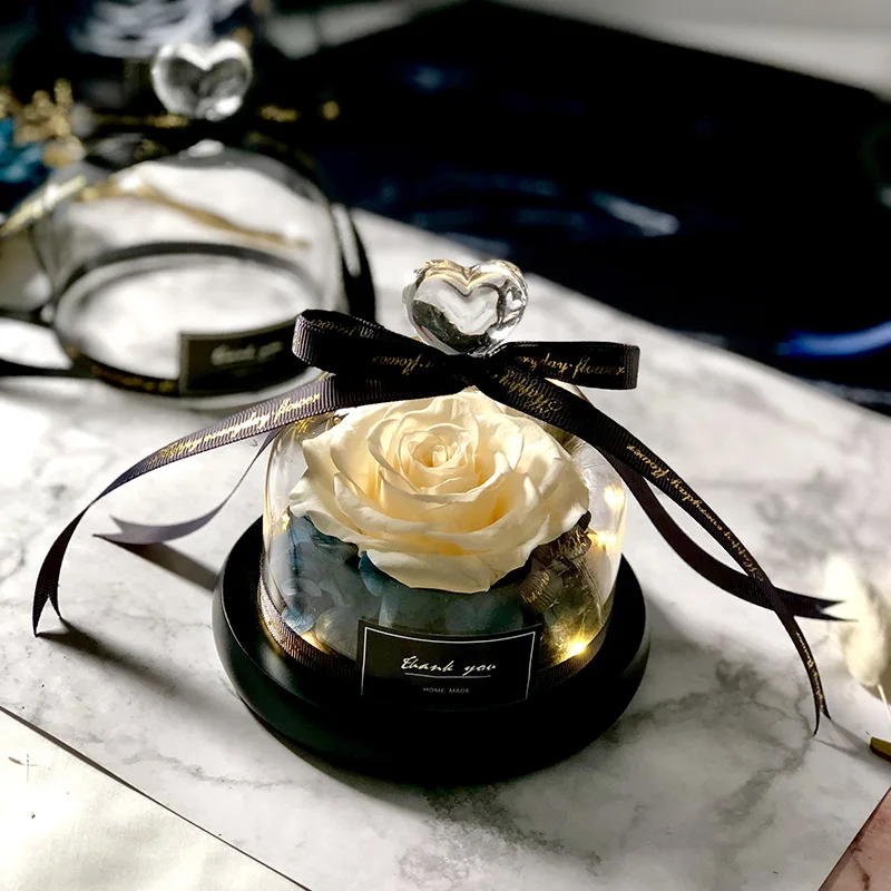 Beauty and The BEAST Save ของข - Decor Timeless Lighting บทวิจารณ์และราคา